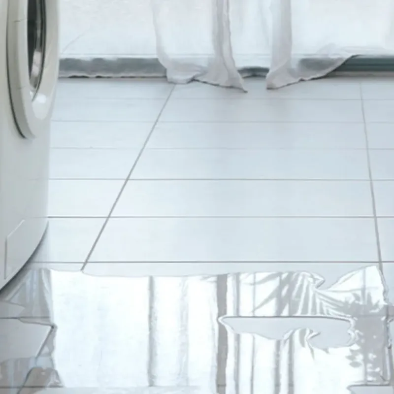 Appliance Leak Cleanup in Citrus Springs, FL